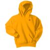 Youth Fleece Hoodie Thumbnail
