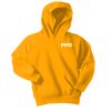 Youth Fleece Hoodie Thumbnail